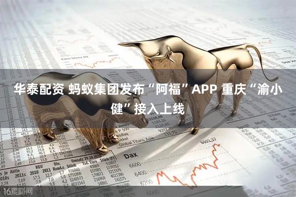 华泰配资 蚂蚁集团发布“阿福”APP 重庆“渝小健”接入上线